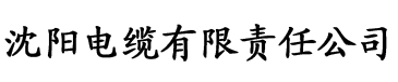 亚洲精品一区电缆厂logo